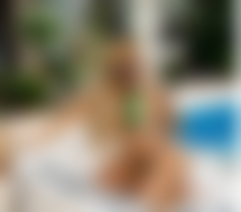 Escorts Merseyside Liverpool -